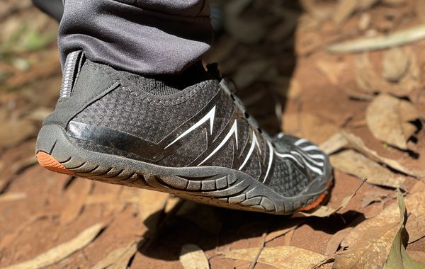 Sole to soil 2