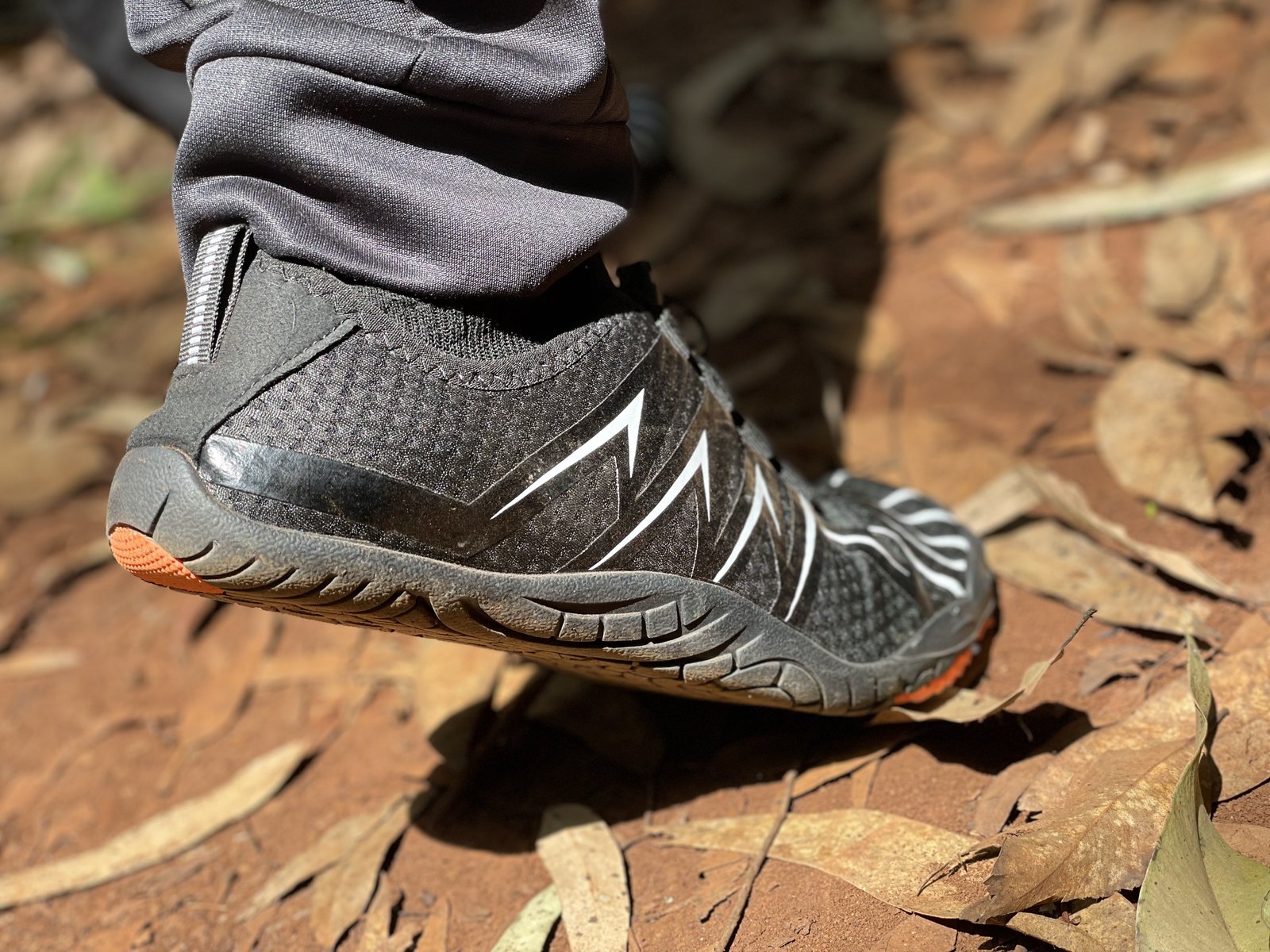 Sole to soil 2