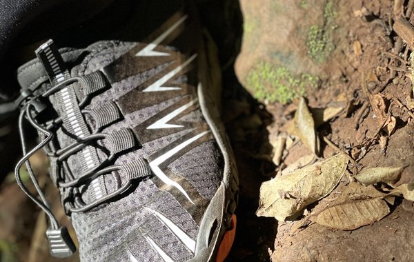 Sole to soil 1
