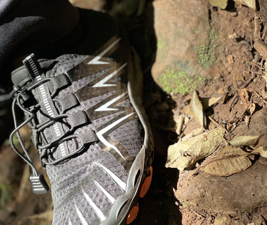 Sole to soil 1