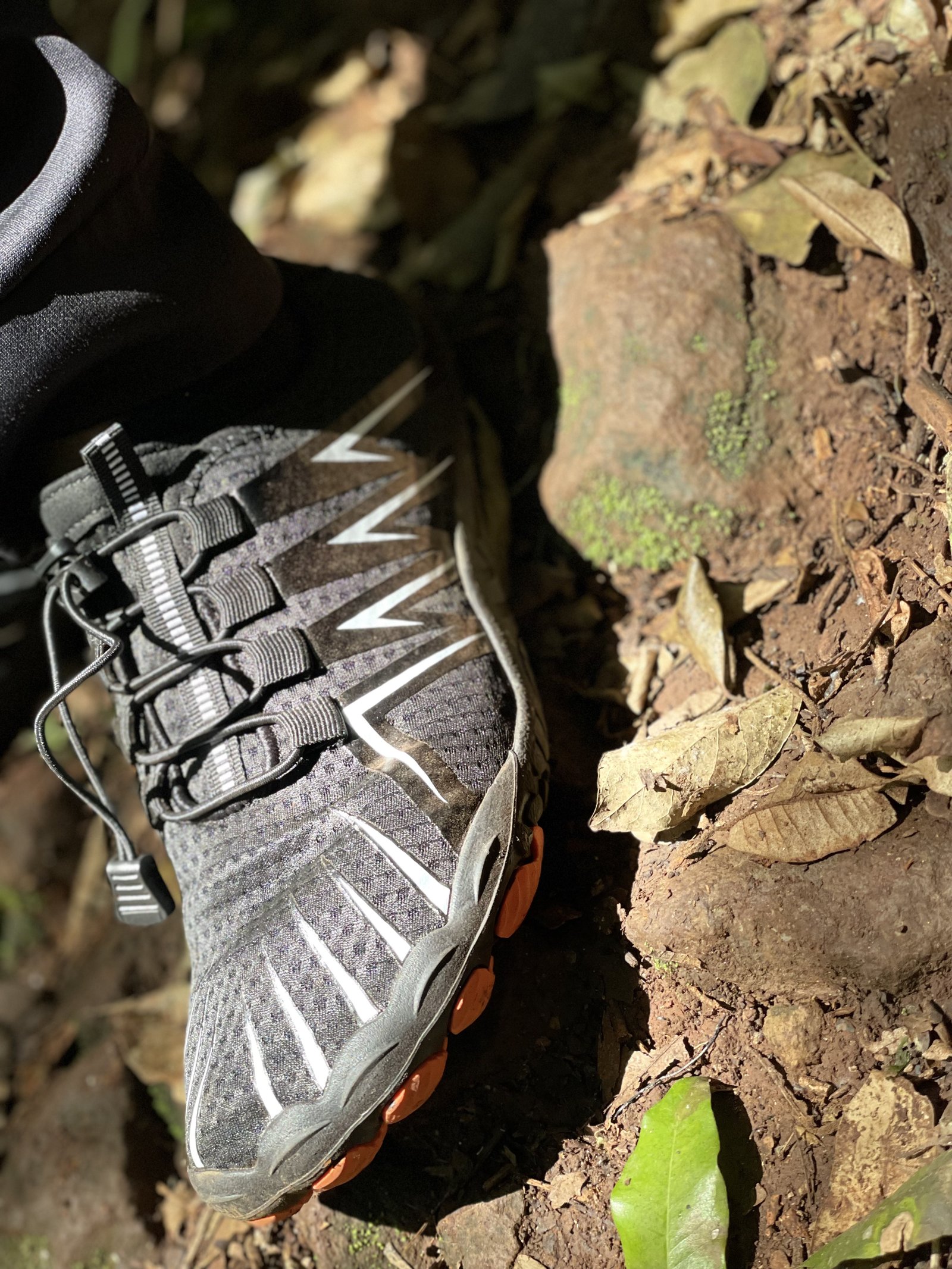 Sole to soil 1